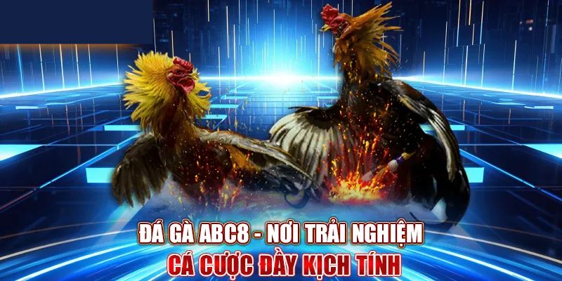 Trải nghiệm game chọi gà online Abc8 với hệ thống bảo mật tiên tiến